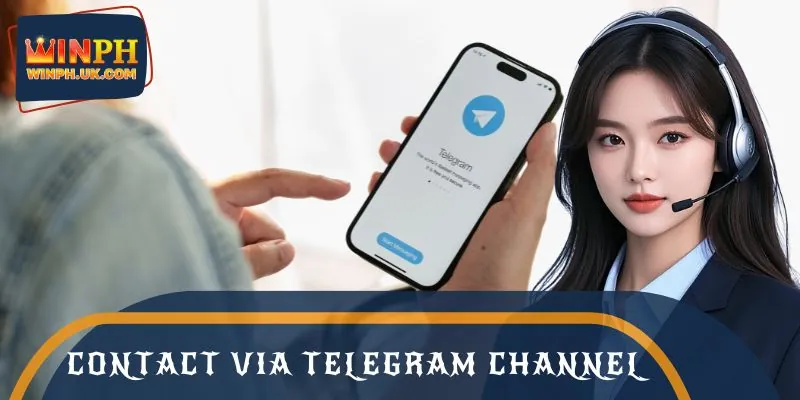 Contact the dealer via telegram channel