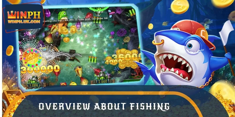 Overview of player feedback on fishing