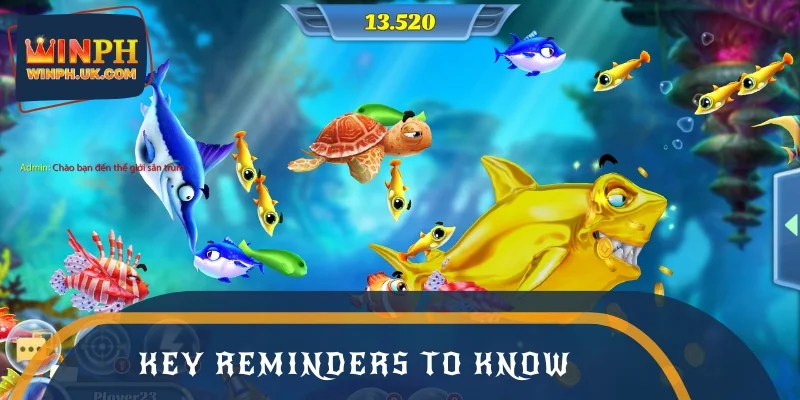 Key reminders to know before entering the game