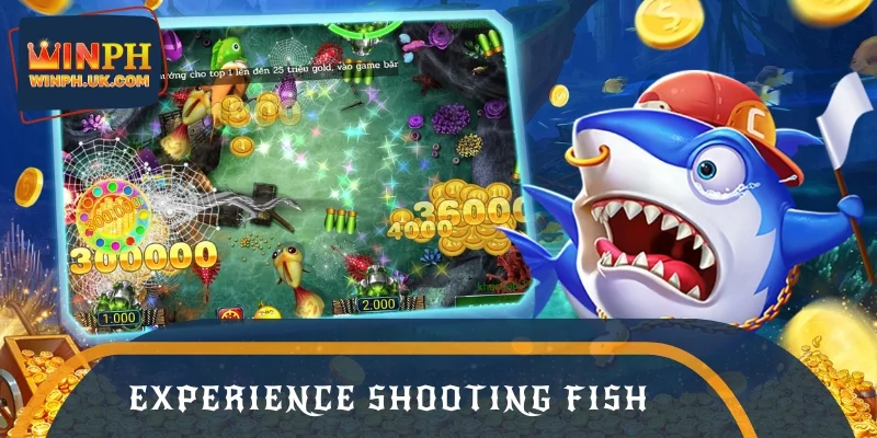 Experience shooting fish to master the ocean