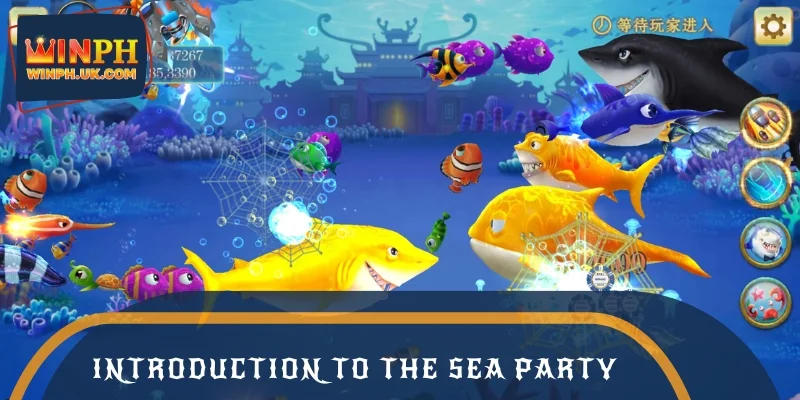 Introduction to the Sea Party experience